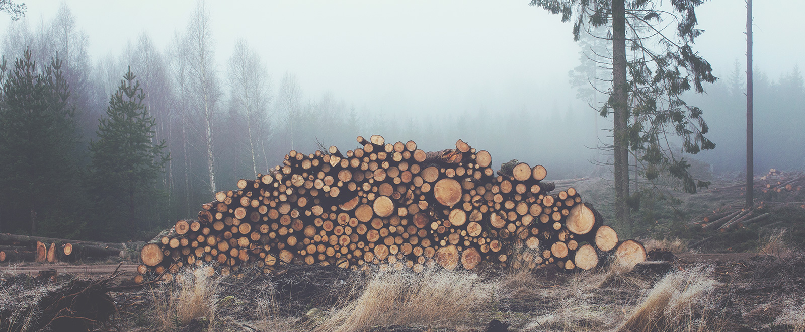 攻击网站的方法